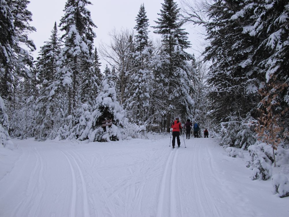Lake Placid, NY 2019 Long Island Cross Country Ski Club