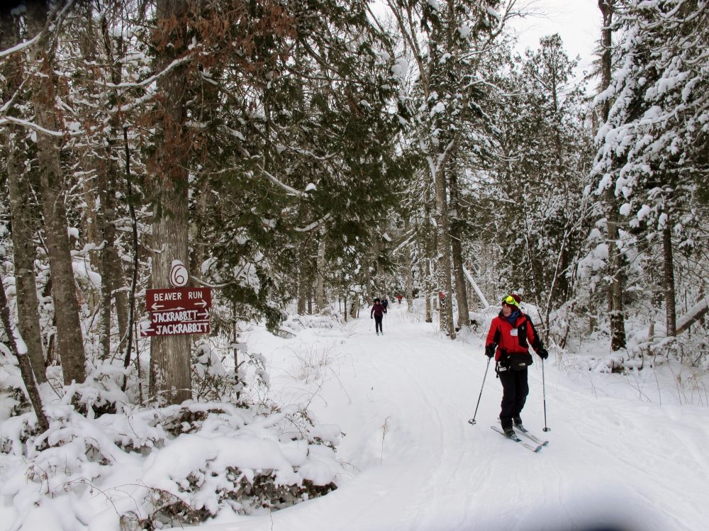 Lake Placid, NY 2019 Long Island Cross Country Ski Club