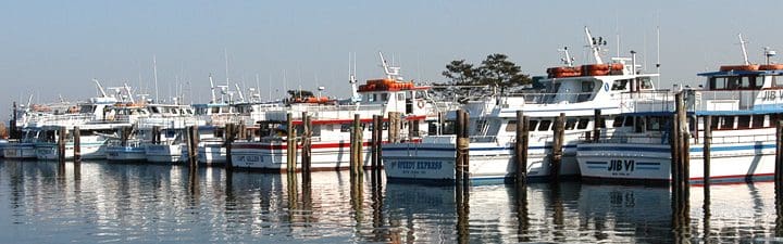 Harbor with multiple moored fishing vessels