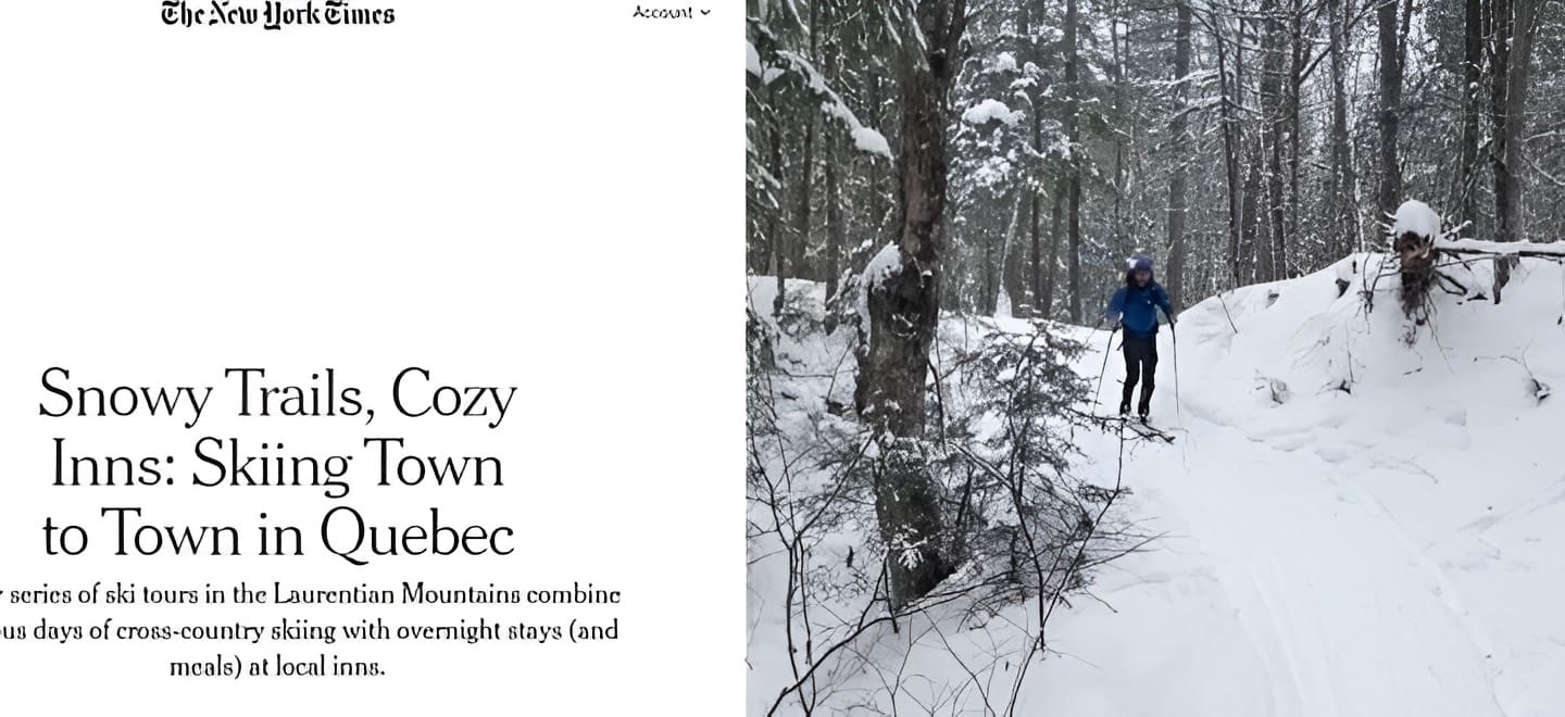 Winter adventure in snowy forest