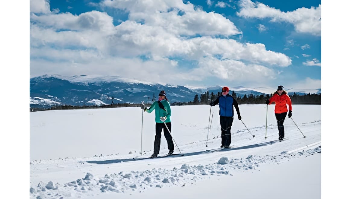 People cross-country skiing on snowy trail