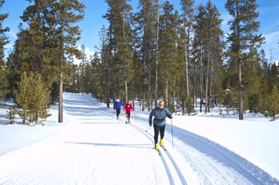 Skiers enjoying a winter trail